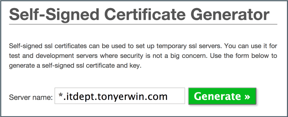 Securing Self-Signed Certificates: Are They Safe?