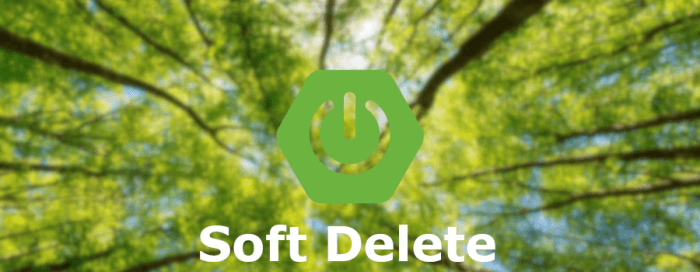 Soft Delete and Application in Spring Boot