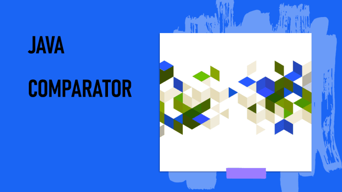 How to Write a Custom Comparator Function in Java?